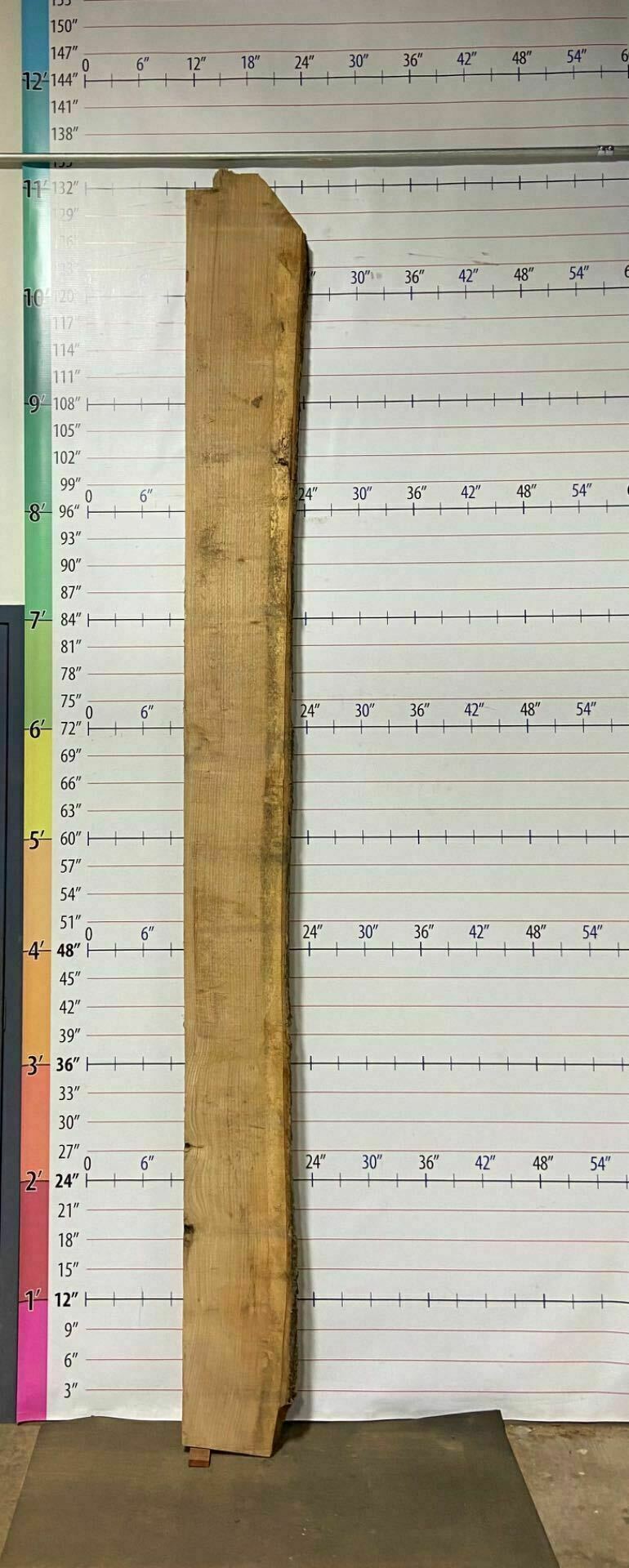 White Oak Live Edge Slab - WO 3
