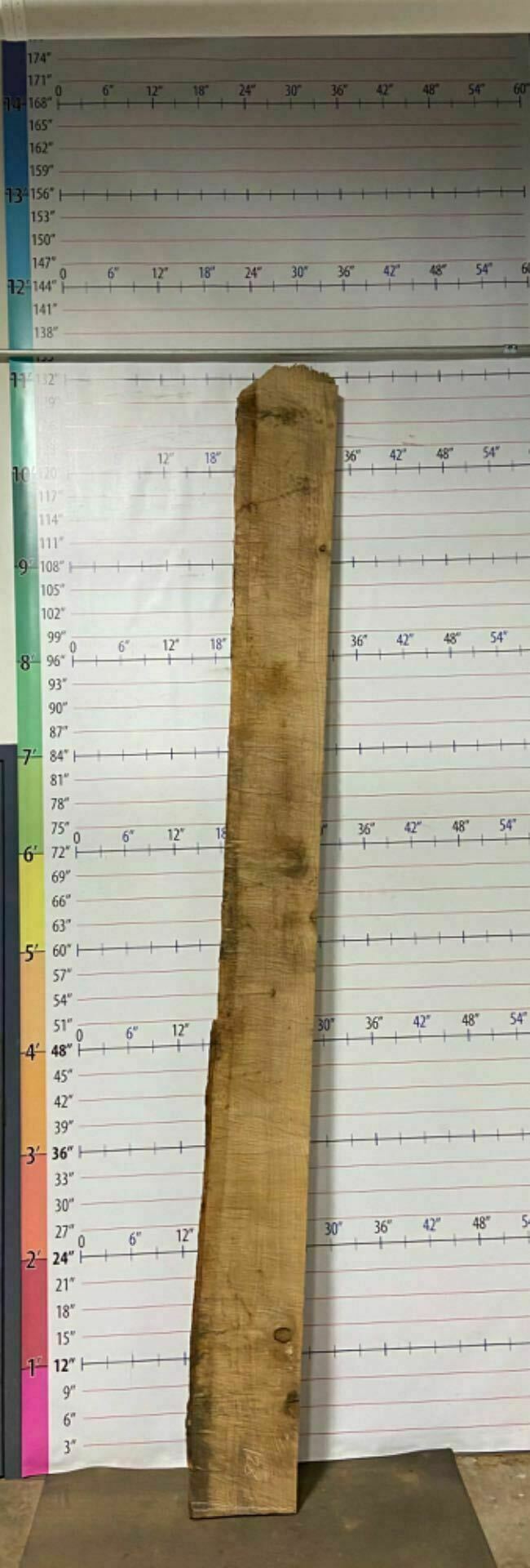 White Oak Live Edge Slab - WO 4