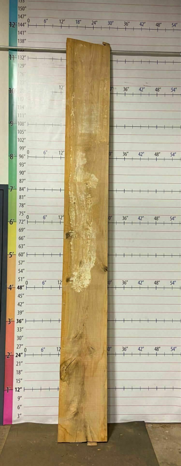 White Oak Live Edge Slab - WO 6