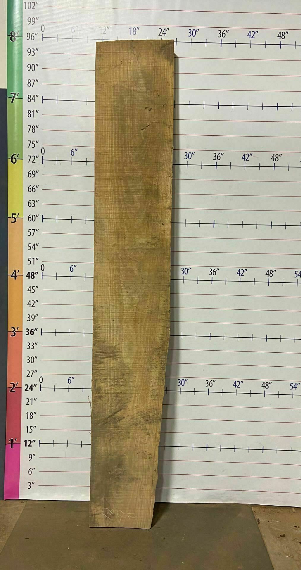 White Oak Live Edge Slab - WO 8